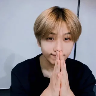🦡 emoji Park Jisung By @stickernct Telegram sticker 19 of 42