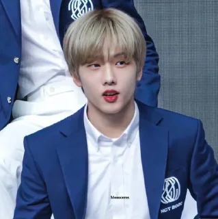 🦡 emoji Park Jisung By @stickernct Telegram sticker 16 of 42