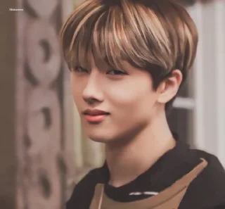 🦡 emoji Park Jisung By @stickernct Telegram sticker 12 of 42