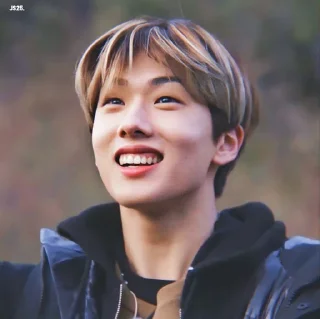 🦡 emoji Park Jisung By @stickernct Telegram sticker 7 of 42