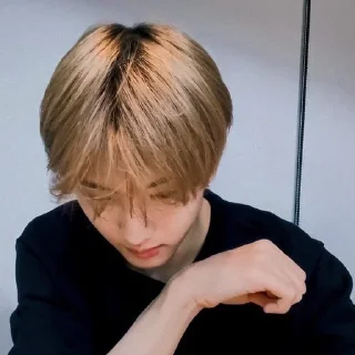 🦡 emoji Park Jisung By @stickernct Telegram sticker 18 of 42