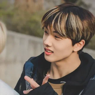 🦡 emoji Park Jisung By @stickernct Telegram sticker 2 of 42