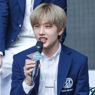 🦡 emoji Park Jisung By @stickernct Telegram sticker 15 of 42
