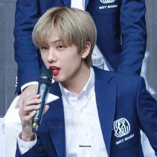 🦡 emoji Park Jisung By @stickernct Telegram sticker 14 of 42