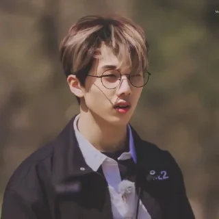 🦡 emoji Park Jisung By @stickernct Telegram sticker 3 of 42