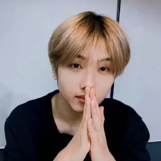 🦡 emoji Park Jisung By @stickernct Telegram sticker 20 of 42