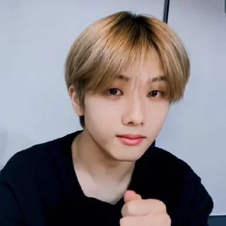 🦡 emoji Park Jisung By @stickernct Telegram sticker 24 of 42