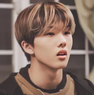 🦡 emoji Park Jisung By @stickernct Telegram sticker 9 of 42