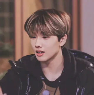 🦡 emoji Park Jisung By @stickernct Telegram sticker 11 of 42