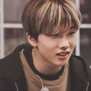 🦡 emoji Park Jisung By @stickernct Telegram sticker 8 of 42