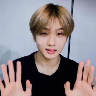 🦡 emoji Park Jisung By @stickernct Telegram sticker 23 of 42