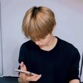 🦡 emoji Park Jisung By @stickernct Telegram sticker 21 of 42