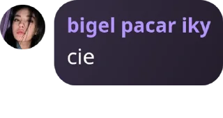 Sticker from ini skin cibel