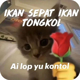 👍 emoji jenong punya camut🙄🙄 Telegram sticker 13 of 70