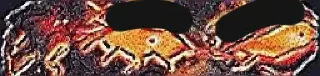 🤔 emoji ꃅყρεƦs sᴛɪᴄ-ᴘᴀᴄᴋ (@HYPERxGROUP_BOT) 4 Telegram sticker 10 of 120