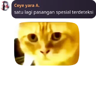 🇦🇼 emoji kaga tau namanya pack by @QuotLyBot Telegram sticker 23 of 92