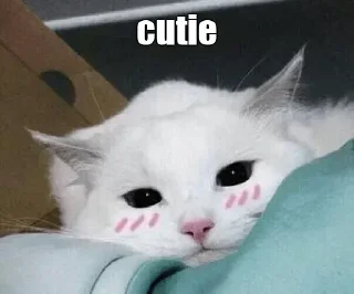 ❤️ emoji Created by @ZEROXZ_NETWORK Telegram sticker 24 of 31