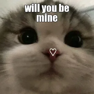 ❤️ emoji Created by @ZEROXZ_NETWORK Telegram sticker 22 of 31