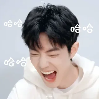 🤣 emoji Bozhan laugh @isleepyhopeu Telegram sticker 12 of 32