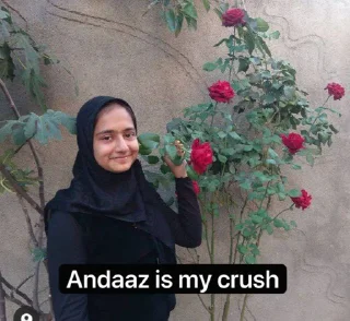 🙂 emoji Andaaz's stic-pack (@Saber_herobot) Telegram sticker 7 of 27