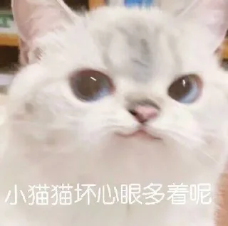 😉 emoji 水四的收藏 Telegram sticker 3 of 18
