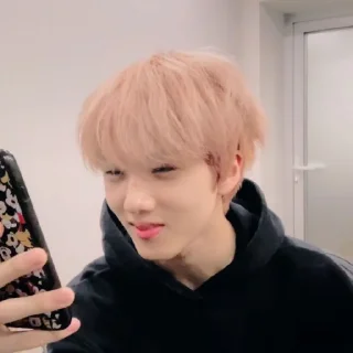 🍟 emoji — park jisung ˖࣪ ·﹆ @gicelyra Telegram sticker 8 of 38