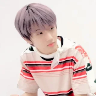 🍟 emoji — park jisung ˖࣪ ·﹆ @gicelyra Telegram sticker 4 of 38