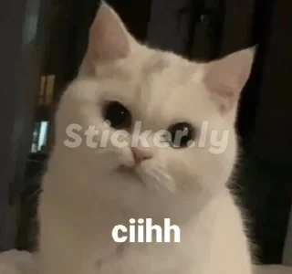 Sticker from My sticker