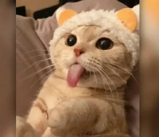😜 emoji ifrat😝😝 Telegram sticker 9 of 120