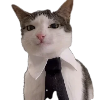 🤔 emoji NARUTOs kang pack Telegram sticker 6 of 30