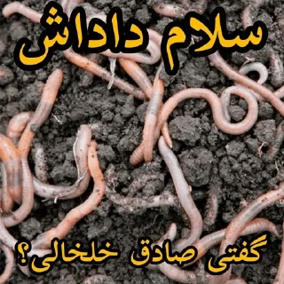 🥰 emoji کیرم تو ناموس ایران ستیز Telegram sticker 11 of 67
