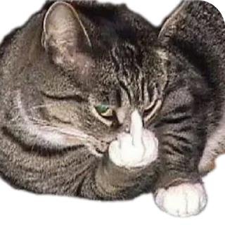 🤔 emoji NARUTOs kang pack Telegram sticker 8 of 30