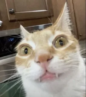 🤔 emoji NARUTOs kang pack Telegram sticker 16 of 30