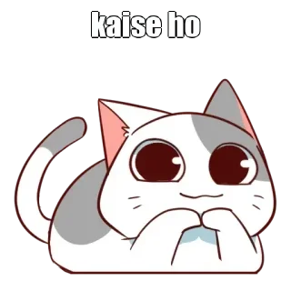 🤔 emoji 𓃬 𝓐𝓷𝔂𝓪 ™🦋 ┗ꔷ's kang pack Telegram sticker 19 of 53