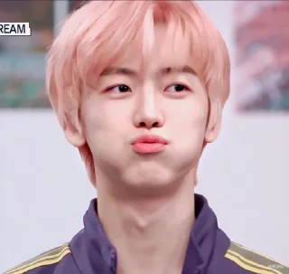 🍰 emoji Jaemin @uuwonie Telegram sticker 23 of 36
