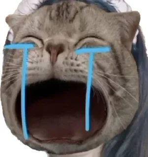 😭 emoji Kuo Telegram sticker 12 of 120