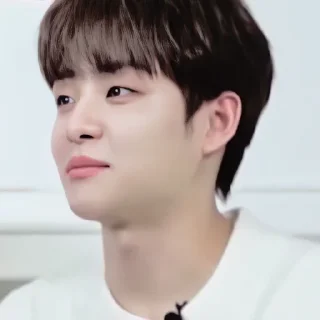 Sticker from — park jihoon ˖࣪ ·﹆ @gicelyra
