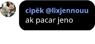 Sticker from silit