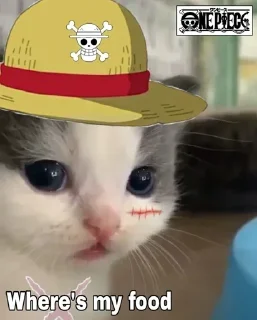 😐 emoji @Stickers_A_Lot | He He Cat Pack Telegram sticker 23 of 86