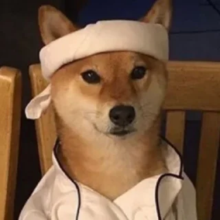 🐕 emoji ONE Telegram sticker 8 of 68