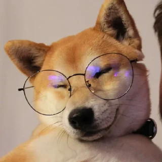 🐕 emoji ONE Telegram sticker 10 of 68