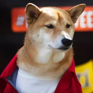 🐕 emoji ONE Telegram sticker 6 of 68