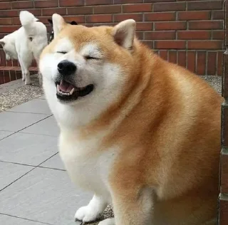 🐕 emoji ONE Telegram sticker 15 of 68