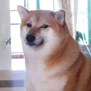 🐕 emoji ONE Telegram sticker 14 of 68