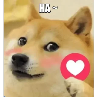 🙂 emoji 💔PATIL ๛SHREYASH-@PATIL_SHREE Telegram sticker 16 of 40