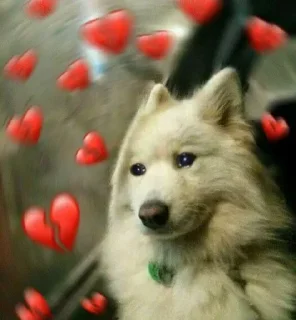 💔 emoji 𝕿𝖚𝖘𝖍𝖆𝖗's stic-pack by @KazutoSuperbot Telegram sticker 12 of 72