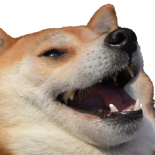😂 emoji Tenjiku's Telegram sticker 2 of 42
