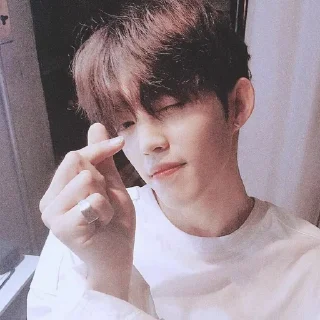 Sticker from 95's seventeen : @moseuminest
