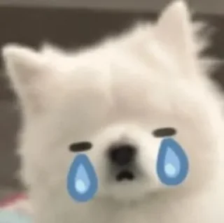 😢 emoji BlondeChaya × @burntpacks Telegram sticker 24 of 50