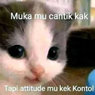 😄 emoji @stickermemeindonesia Kelamin Pria Telegram sticker 3 of 50